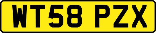 WT58PZX