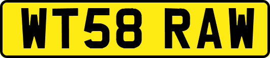 WT58RAW