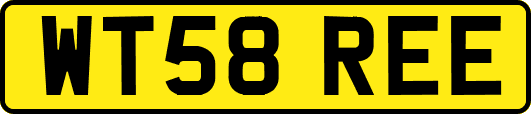 WT58REE