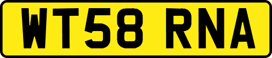 WT58RNA
