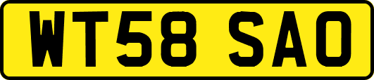WT58SAO