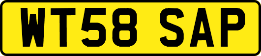WT58SAP