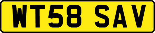 WT58SAV