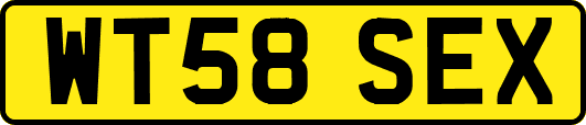 WT58SEX