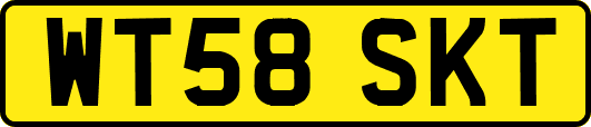 WT58SKT