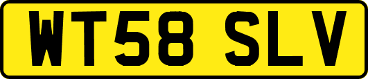 WT58SLV