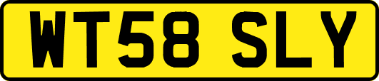WT58SLY