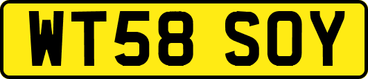 WT58SOY