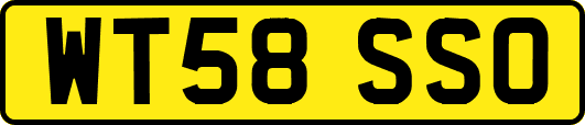 WT58SSO