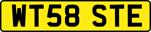 WT58STE