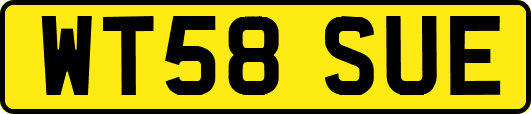WT58SUE