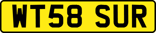 WT58SUR