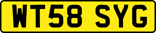 WT58SYG