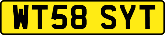 WT58SYT
