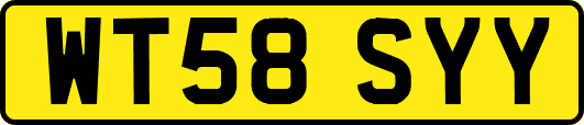 WT58SYY