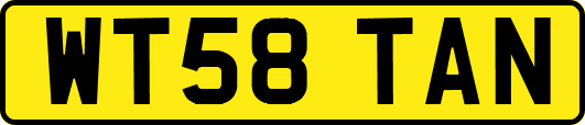 WT58TAN