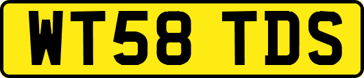 WT58TDS