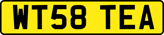 WT58TEA