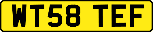 WT58TEF