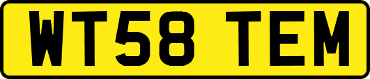 WT58TEM