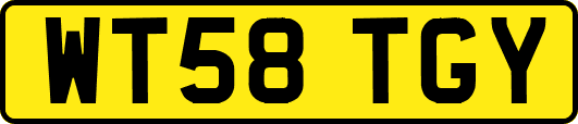 WT58TGY