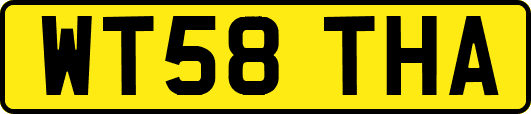 WT58THA