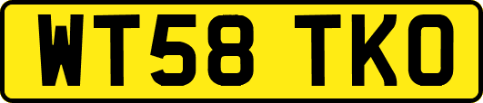 WT58TKO