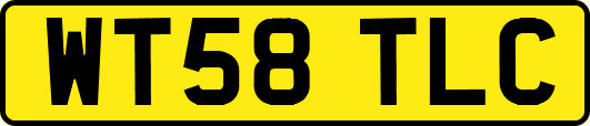 WT58TLC