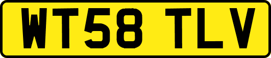 WT58TLV