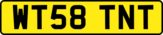 WT58TNT