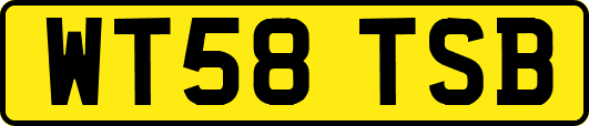 WT58TSB