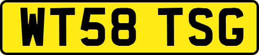 WT58TSG