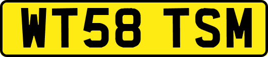 WT58TSM
