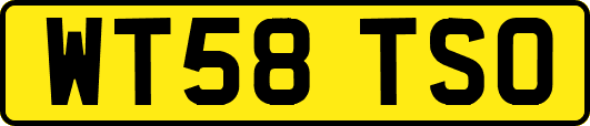 WT58TSO
