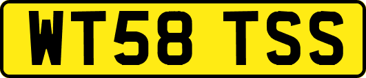 WT58TSS