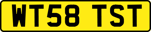 WT58TST