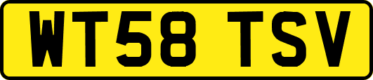 WT58TSV