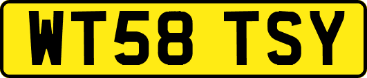 WT58TSY