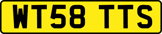 WT58TTS