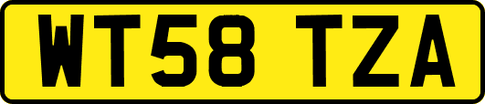 WT58TZA