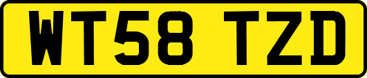 WT58TZD