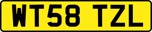WT58TZL