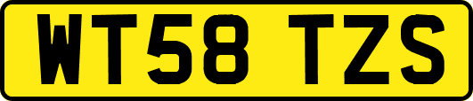 WT58TZS