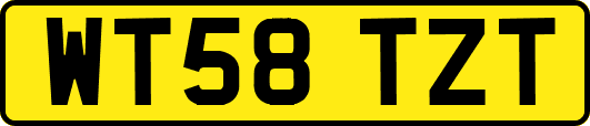 WT58TZT