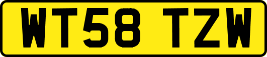 WT58TZW