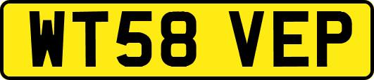 WT58VEP
