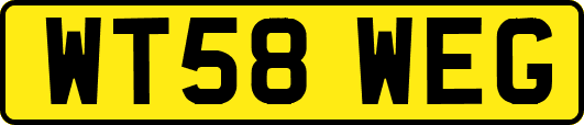 WT58WEG