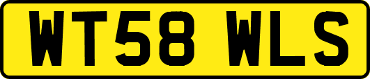 WT58WLS