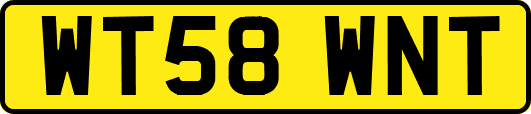 WT58WNT
