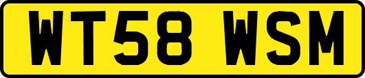 WT58WSM
